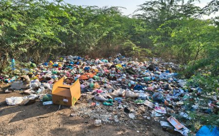 *திருச்சி பொன்மலைப்பட்டி பேருந்து நிலையம் அருகே குவிந்து கிடக்கும் குப்பைகளால் துர்நாற்றம் மற்றும் நோய் தொற்று ஏற்படும் அபாயம் - மாநகராட்சி மீது பொதுமக்கள் குற்றச்சாட்டு*